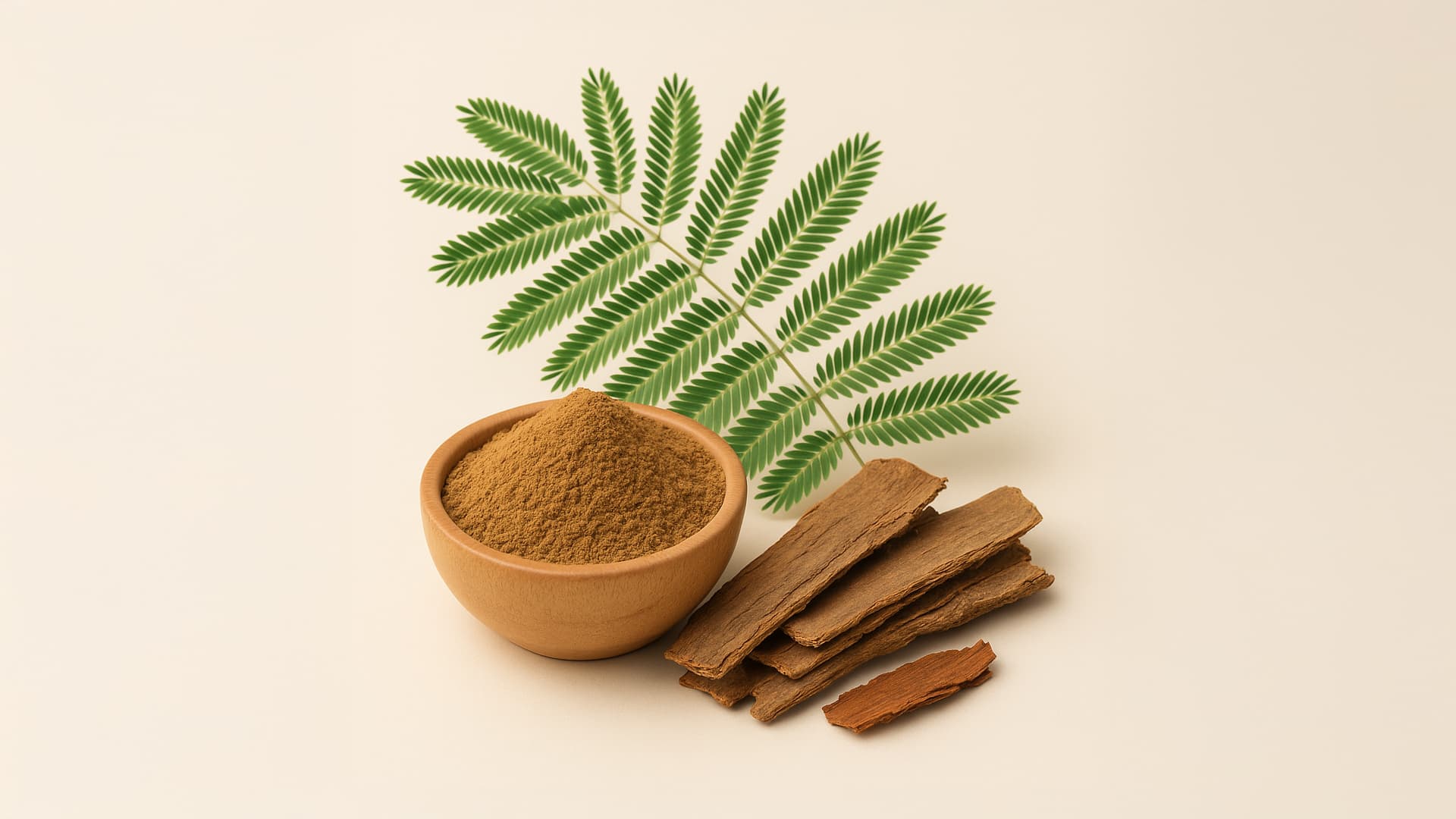 Khadir (Acacia catechu) Natural Extract bottle and bark